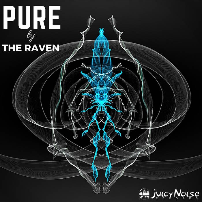 Juicy Noise Records - THE RAVE COMMISSION - Pure