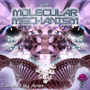 Biomechanix Records - .Various - Molecular Mechanism