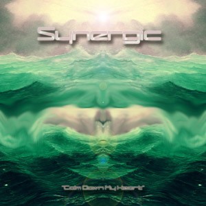 Space Baby Records - SYNERGIC - Calm Down My Heart