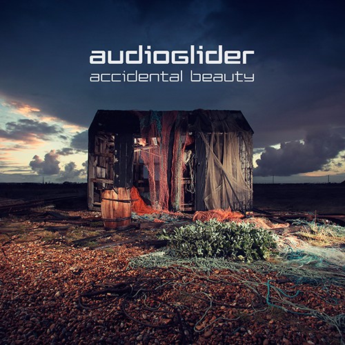 Section Records - AUDIOGLIDER - Accidental Beauty
