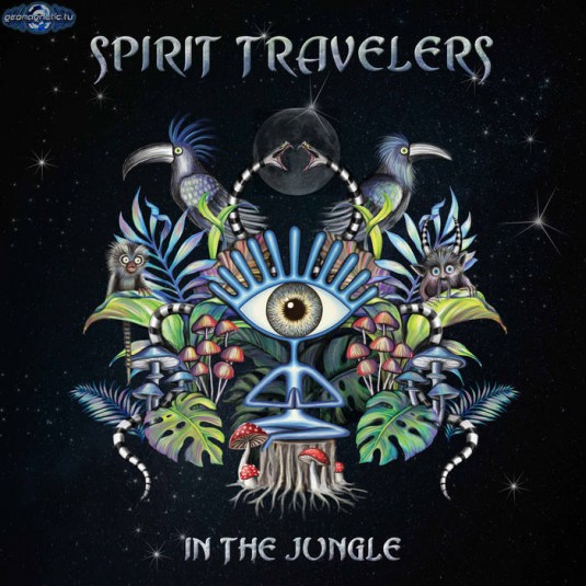 Geomagnetic.tv - SPIRIT TRAVELLER - In the Jungle