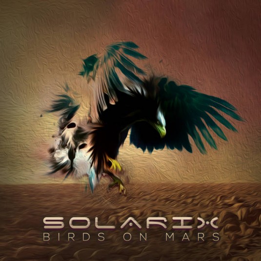 Dacru Records - SOLARIX - Birds on Mars