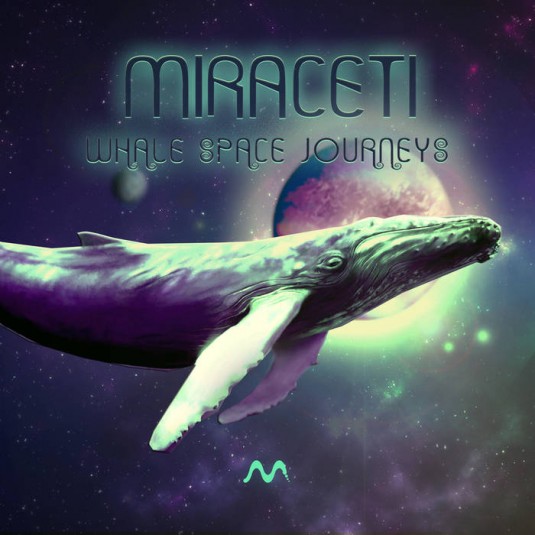 Mamomam Records - MIRACETI - Whale Space Journeys