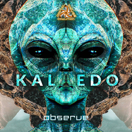 Digital Drugs Coalition - KALAEDO - Observe