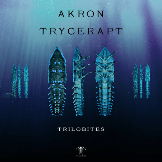 paleo - AKRON, TRYCERAPT - Trilobites