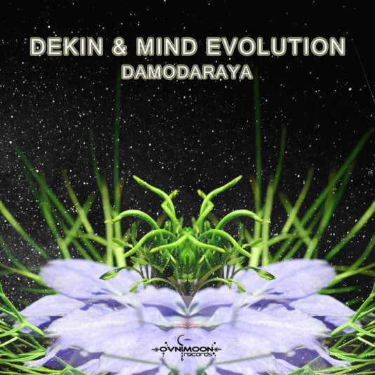 Ovnimoon Records - DEKIN, MIND EVOLUTION - Damodaraya