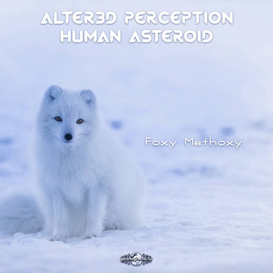 Geomagnetic.tv - ALTER3D PERCEPTION, HUMAN ASTEROID - Foxy Methoxy