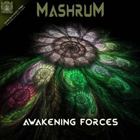 Ohm Ganesh Pro - MASHRUM - Awakening Forces