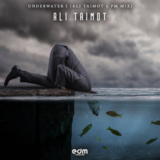 Edm Records - ALI TAIMOT - Underwater I (5 PM Mix)