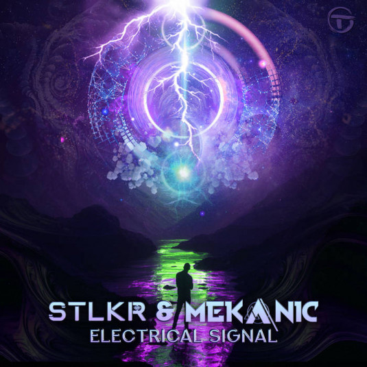 1.2. Trip Records - STLKR, MEKANIC - Electrical Signal