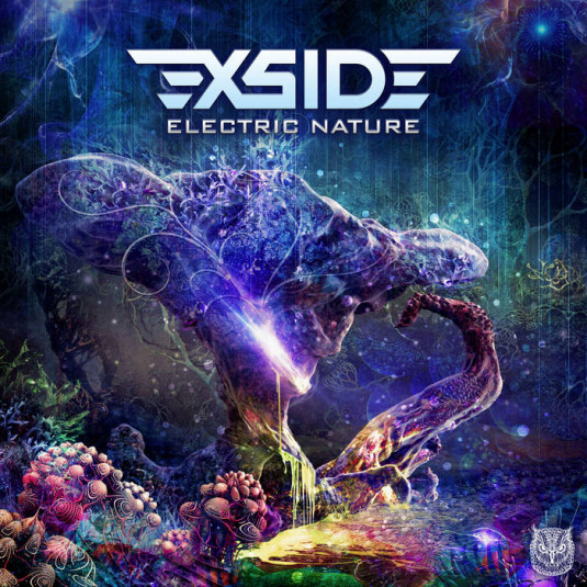 Sahman Records - X-SIDE - Electric Nature