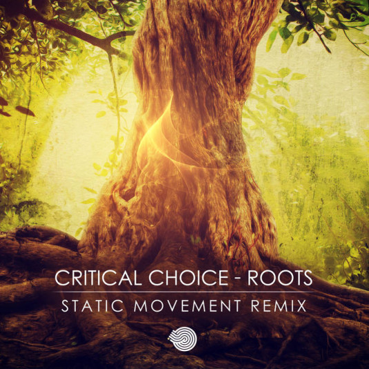 Iboga Records - CRITICAL CHOICE - Roots