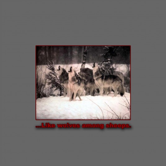 Golden Dawn Records - .Various - ...like wolves among sheeps.