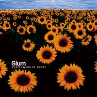 Sunflowers Of Today - SLUM - Sunflowers Of Today