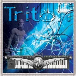 Discovalley Records - .Various - triton
