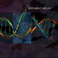 Doof Records - .Various - Double Helix