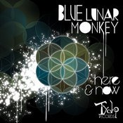 Tycho Records - BLUE LUNAR MONKEY - Here and Now