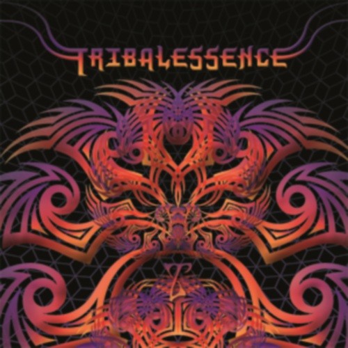 Triplag Music - .Various - Tribalessence