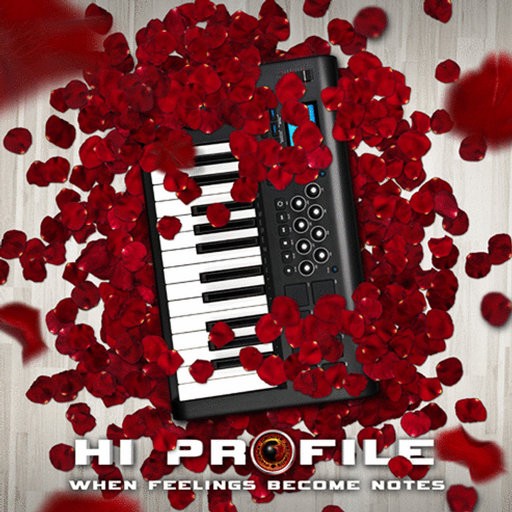 Phoenix Groove Records - HI PROFILE - When Feelings Become Notes