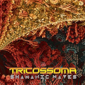 Digital Drugs Coalition - TRICOSSOMA - Shamanic Waves