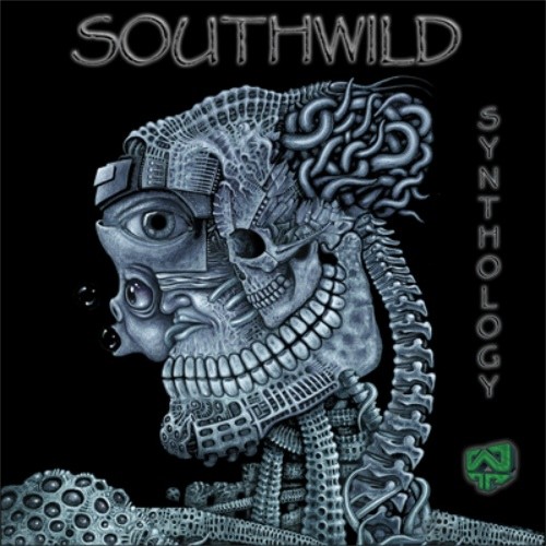 Wildthings Records - SOUTHWILD - Synthology