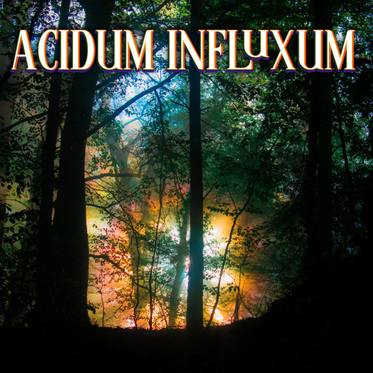 Acidum Influxum