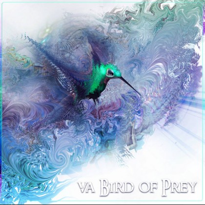 Space Baby Records - .Various - Bird of Prey