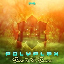 Power House - POLYPLEX - Back To The Basics