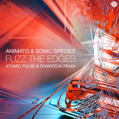 Iboga Records - ANIMATO & SONIC SPECIES - Fuzz the Edges