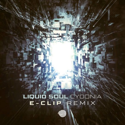 Iboga Records - LIQUID SOUL - Cydonia