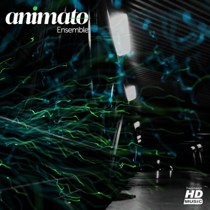 Iboga Records - ANIMATO - Ensemble