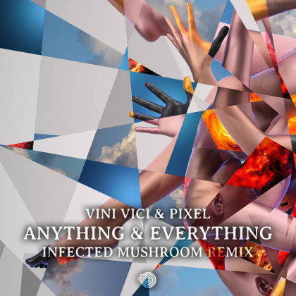 Iboga Records - VINI VICI, PIXEL - Anything & Everything