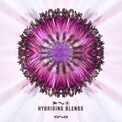 Iono Music - .Various - Hybriding Blends