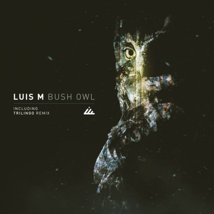 IBOGATECH - LUIS M - Bush Owl