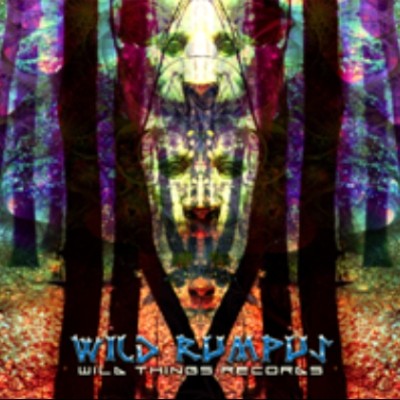 Wildthings Records - .Various - Wild Rumpus DG