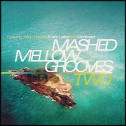 Transient Records - .Various - Mashed Mellow Grooves Two