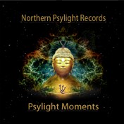 Northern Psylight Records - .Various - Psylight moments