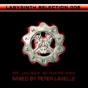 Tribal Tribe - .Various - Labyrinth Selection 006