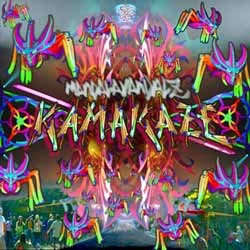 6 Dimension Soundz - MANDALAVANDALZ - kamakaze