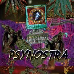 Goanmantra Records - .Various - psynostra