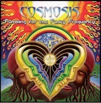 Holophonic Records - COSMOSIS - Fumbling For The Funky Frequency