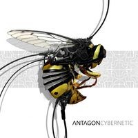 2TO6 Records - ANTAGON - Cybernetic