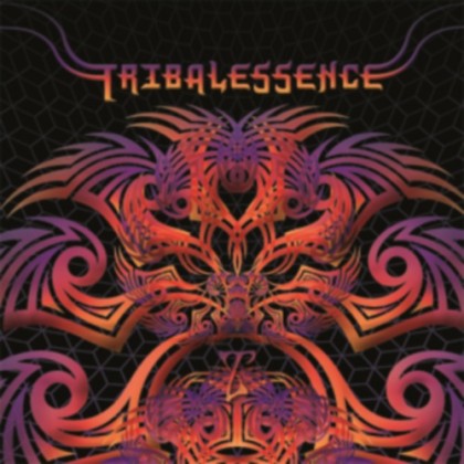 Triplag Music - .Various - Tribalessence