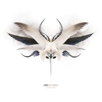 2TO6 Records - AIRI - Lifebird