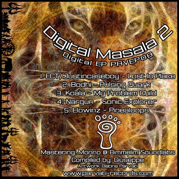 Parvati Records - .Various - Digital Masala II