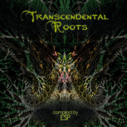 MadMuzik Records - .Various - Transcendental Roots