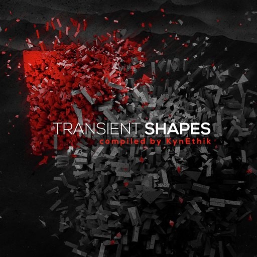 24-7 Records - .Various - Transient Shapes