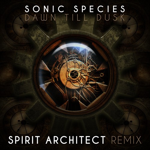 Dacru Records - SONIC SPECIES - Dawn Till Dusk (Spirit Architect Remix)