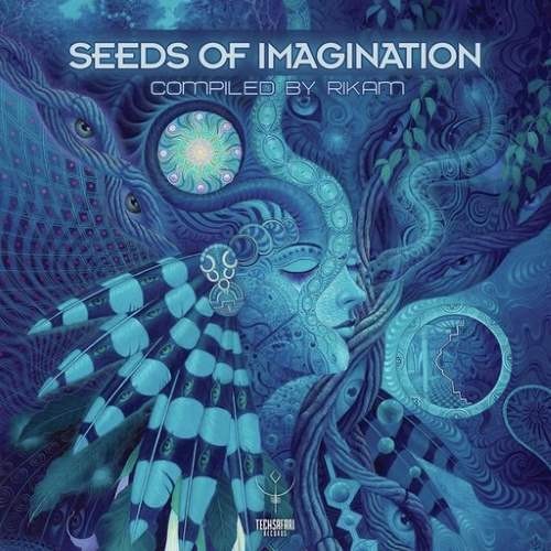 TechSafari Records - .Various - Seeds Of Imagination