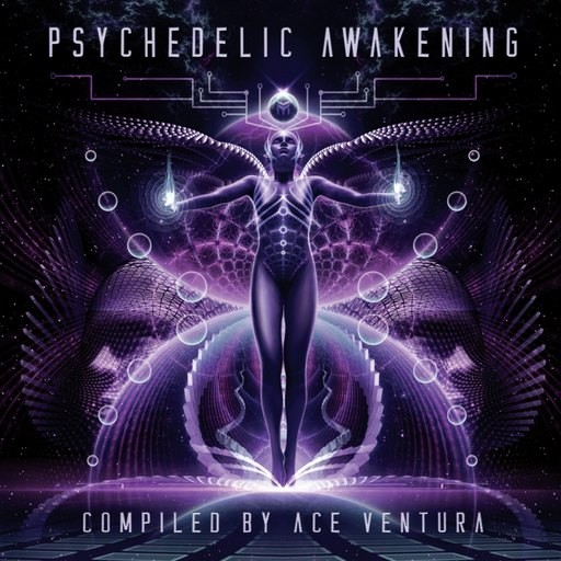 Future Music - .Various - Psychedelic Awakening